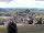Webcam in Schopfheim, 20.4 km entfernt