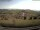 Webcam in Schopfheim, 8.5 mi away