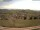 Webcam in Schopfheim, 7.5 mi away