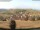 Webcam in Schopfheim, 13.4 km