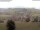 Webcam in Schopfheim, 7.9 mi away