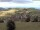 Webcam in Schopfheim, 7.9 mi away
