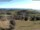 Webcam in Schopfheim, 5.8 mi away