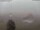 Webcam in Schopfheim, 12.1 km entfernt