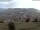 Webcam in Schopfheim, 7.8 mi away