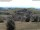 Webcam in Schopfheim, 5.5 mi away