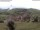 Webcam in Schopfheim, 6.6 mi away