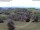 Webcam in Schopfheim, 20.2 km