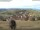 Webcam in Schopfheim, 17.1 km