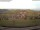 Webcam in Schopfheim, 21.9 km