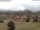 Webcam in Schopfheim, 13.4 km