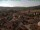 Webcam in Neukirchen b.Hl.Blut, 6.6 mi away