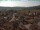 Webcam in Neukirchen b.Hl.Blut, 0.1 km