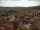 Webcam in Neukirchen b.Hl.Blut, 0.1 km