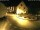 Webcam in Kröv, 0.1 km entfernt
