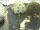 Webcam in Kröv, 6.1 km