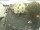 Webcam in Kröv, 7.5 mi away