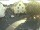 Webcam in Kröv, 0 mi away