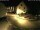 Webcam in Kröv, 3.9 km