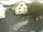 Webcam in Kröv, 19.1 km