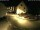 Webcam in Kröv, 7.6 km entfernt