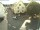 Webcam in Kröv, 8.4 km