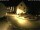 Webcam in Kröv, 0.1 km entfernt