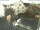 Webcam in Kröv, 1.5 mi away