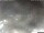 Webcam in Milano Marittima, 9.6 mi away