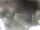 Webcam in Milano Marittima, 3.6 km