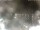 Webcam in Milano Marittima, 0.5 mi away