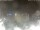 Webcam in Milano Marittima, 1.2 km