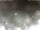 Webcam in Milano Marittima, 13.5 mi away