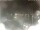 Webcam in Milano Marittima, 19.5 km