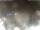 Webcam in Milano Marittima, 0.5 mi away