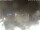 Webcam in Milano Marittima, 0.5 mi away