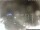 Webcam in Milano Marittima, 1.5 mi away