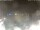 Webcam in Milano Marittima, 10.8 mi away