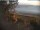 Webcam in the Ostseebad Binz, 0.1 mi away