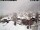 Webcam in Champagny-en-Vanoise, 10.2 km