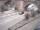 Webcam in Heidelberg, 2.9 mi away