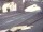 Webcam in Heidelberg, 0.7 km