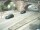 Webcam in Heidelberg, 9.7 km entfernt
