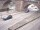 Webcam in Heidelberg, 22.3 km entfernt