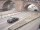 Webcam in Heidelberg, 7.1 mi away