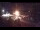 Webcam in Leoni, 7.8 mi away