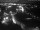 Webcam in Lübeck-Travemünde, 29.8 km entfernt