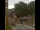 Webcam in Seiffen, 0.2 mi away