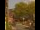 Webcam in Seiffen, 3.8 km entfernt