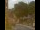 Webcam in Seiffen, 5.2 mi away